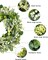 Green Eucalyptus Leaf Wreath, 24 Inch Artificial Spring Summer Wreaths for Front Door Decor Boxwood Wreath with Big Berries, Farmhouse Greenery Wreath Outside Year Round - Indoor/Outdoor